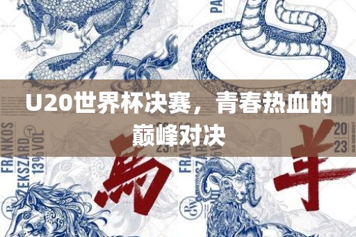 U20世界杯决赛，青春热血的巅峰对决眉山市正发家政服务有限公司