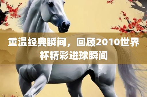重温经典瞬间，回顾2010世界杯精彩进球瞬间
