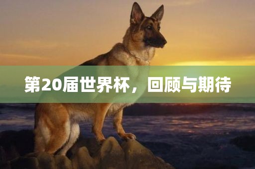 第20届世界杯，回顾与期待眉山市正发家政服务有限公司