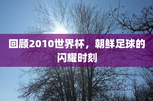 回顾2010世界杯，朝鲜足球的闪耀时刻