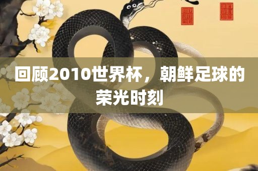 回顾2010世界杯，朝鲜足球的荣光时刻