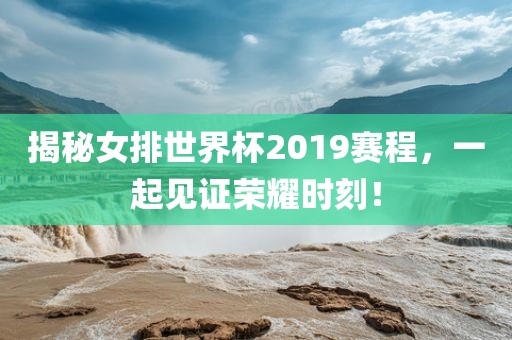 揭秘女排世界眉山市正发家政服务有限公司杯2019赛程，一起见证荣耀时刻！