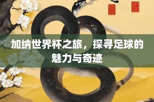 加纳世界杯之旅，探寻足球的魅力与奇迹眉山市正发家政服务有限公司