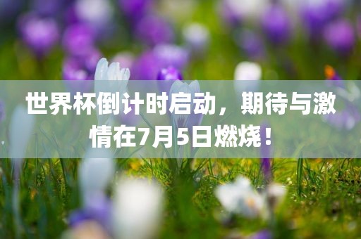 世界杯倒计时启动，期待与激情在7月5日燃烧！眉山市正发家政服务有限公司