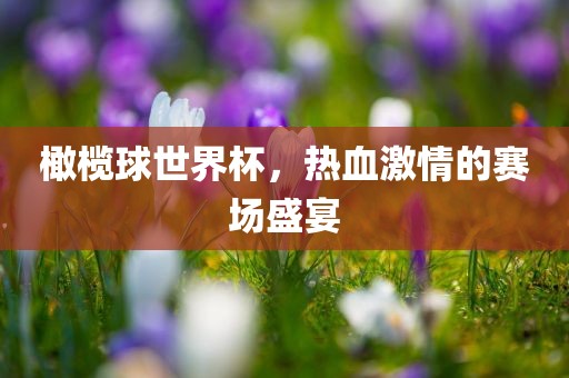 橄榄球世界杯，热血激情的赛场盛宴眉山市正发家政服务有限公司