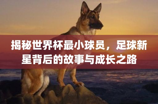 揭秘世界杯最小球员，足球新星背后的故事与成长之路眉山市正发家政服务有限公司