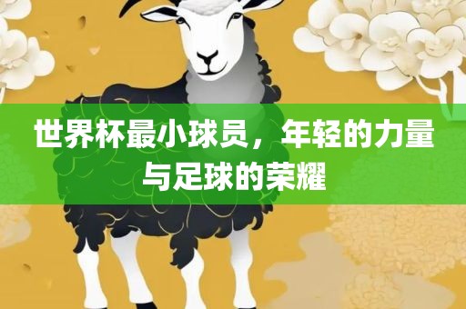 世界杯最小球员，年轻的力量与足球的荣耀