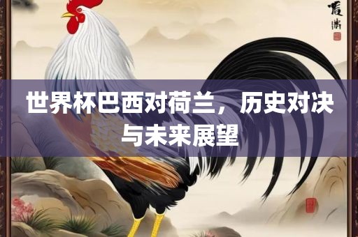 世界杯巴西对荷兰，历史对决与未来展望眉山市正发家政服务有限公司
