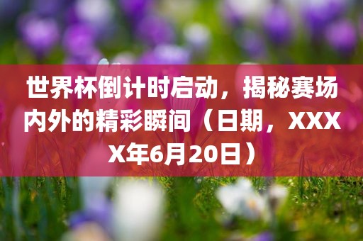 世界杯倒计时启动，揭秘赛场内外的精眉山市正发家政服务有限公司彩瞬间（日期，XXXX年6月20日）