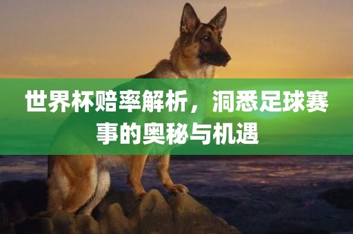 世界杯赔率解析，洞悉足球赛事的奥秘与机遇眉山市正发家政服务有限公司
