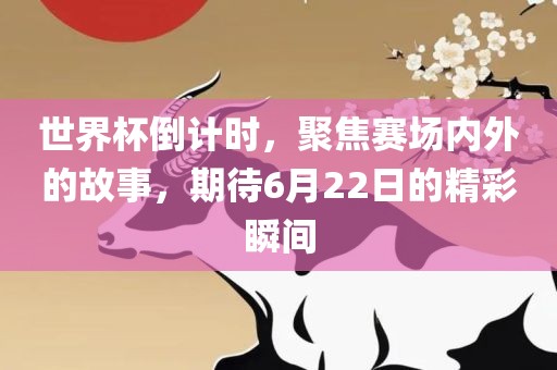 世界杯倒计时，聚焦赛场内外的故事，期待6月22日的精彩瞬间