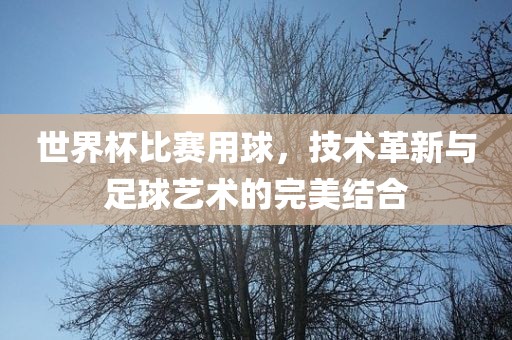 世界杯比赛用球，技术革新与足球艺术的完美结合眉山市正发家政服务有限公司