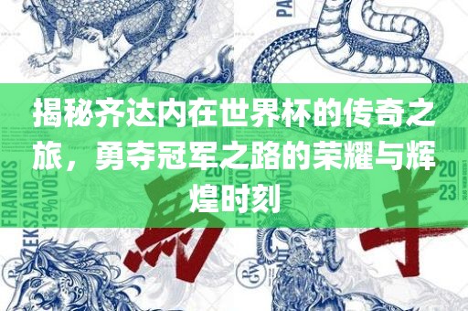 揭秘齐达内在世界杯的传奇之旅，勇夺冠军之路的荣耀与辉煌时刻眉山市正发家政服务有限公司