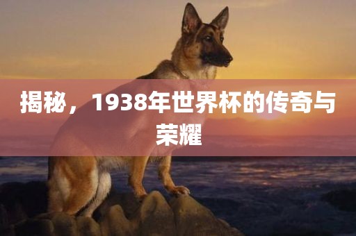 揭秘，1938年世界杯的传奇与荣耀
