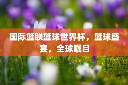 国际篮联篮球世界杯，篮球盛宴，全球眉山市正发家政服务有限公司瞩目