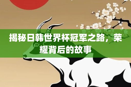 揭秘日韩世界杯冠军之路，荣耀背后的故事眉山市正发家政服务有限公司