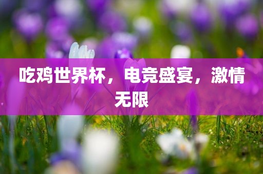 吃鸡世界杯，电竞盛宴，激情无限