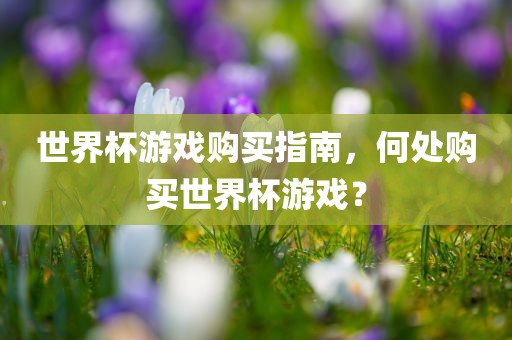 眉山市正发家政服务有限公司世界杯游戏购买指南，何处购买世界杯游戏？