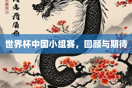 世界杯中国小组赛，回顾与期待