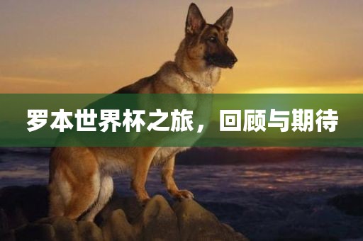 罗本世界杯之旅，回顾与期待