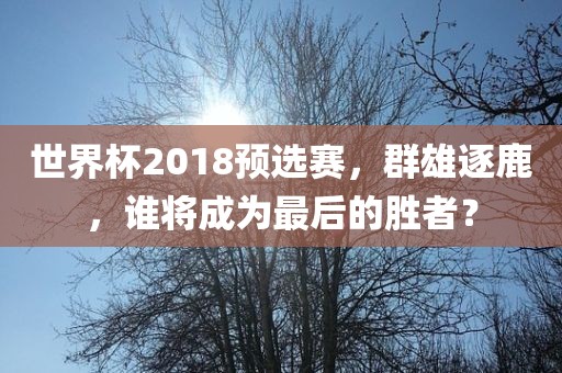 世界杯2018预选赛，群雄逐鹿，谁将成为最后的胜者？