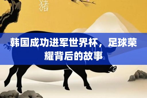 韩国成功进军世界杯，足球荣耀背后的故事眉山市正发家政服务有限公司