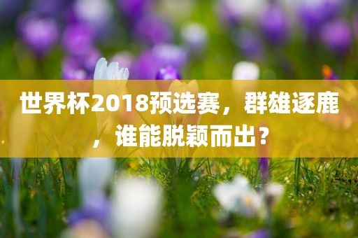 世界杯2018预选赛，群雄逐鹿，谁能脱颖而出？眉山市正发家政服务有限公司