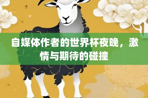 自媒体作者的世界杯夜晚，激情与期待的碰撞眉山市正发家政服务有限公司