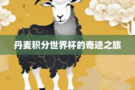 丹麦积分世界杯眉山市正发家政服务有限公司的奇迹之旅