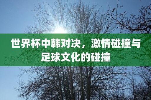 世界杯中韩对决，激情碰撞与足球文化的碰撞眉山市正发家政服务有限公司