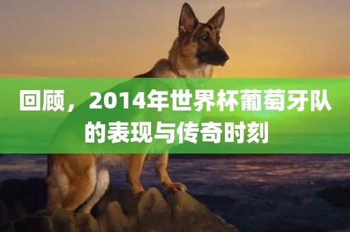 回顾，2014年世界杯葡萄牙队的表现与传奇时刻