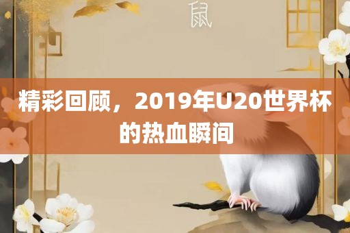 精彩回顾，2019年U20世界杯的热血瞬间