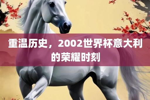 重温历史，2002世界杯意大利眉山市正发家政服务有限公司的荣耀时刻