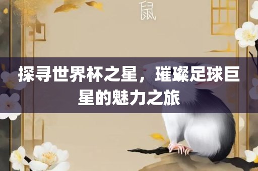 探寻世界杯之星，璀璨足球巨星的魅力之旅眉山市正发家政服务有限公司