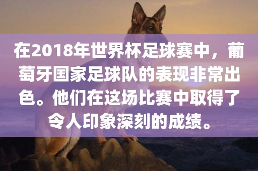 在2018年世界杯足球赛中，葡萄牙国家足球队的表现非常出色。他们在这场比赛中取得了令人印象深刻的成绩。