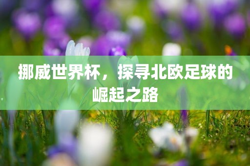 挪眉山市正发家政服务有限公司威世界杯，探寻北欧足球的崛起之路