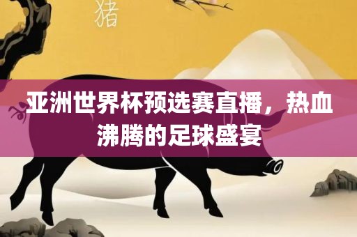 亚洲世界杯预选赛直播，热血沸腾的足球盛宴
