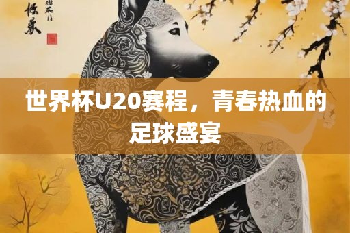 世界杯U20赛程，青春热血的足球盛宴