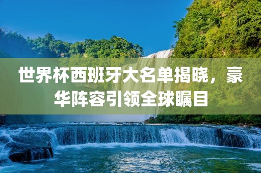 世界杯西班牙大名单揭晓，豪华阵容引领全球瞩目眉山市正发家政服务有限公司