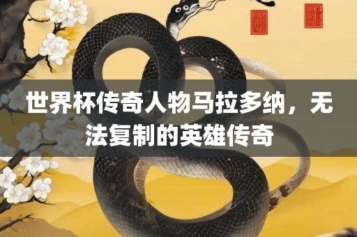 世界杯传奇人物马拉多纳，无法复制的英雄传奇