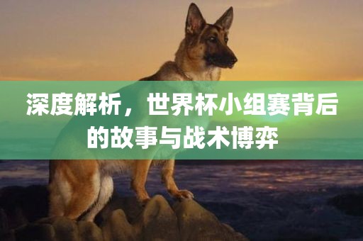 深度解析，世界杯小组赛背后的眉山市正发家政服务有限公司故事与战术博弈