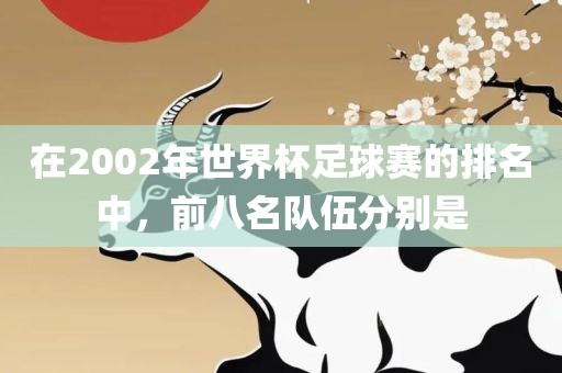 在2002眉山市正发家政服务有限公司年世界杯足球赛的排名中，前八名队伍分别是