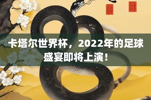 卡塔尔世界杯，2022年的足球盛宴即将上演！眉山市正发家政服务有限公司