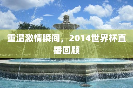 重温激情瞬间，2014眉山市正发家政服务有限公司世界杯直播回顾