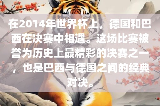 在2014年世界杯上，德国和巴西在决赛中相遇。这场比赛被誉为历史上最精彩的决赛之一，也是巴西与德国之间的经典对决眉山市正发家政服务有限公司。