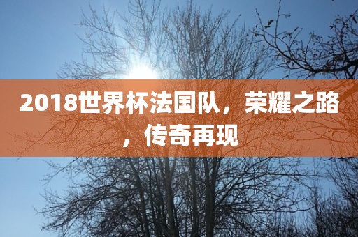 2018世界杯法国队，荣耀之路，传奇再现