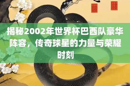 揭秘2002年世界杯巴西队豪华阵容，传奇球星的力量与荣耀时刻眉山市正发家政服务有限公司