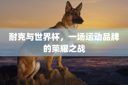 耐克与世界杯，一场运动品牌的荣耀之战
