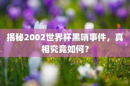 揭秘2002世界杯黑哨事件，真相究竟如眉山市正发家政服务有限公司何？