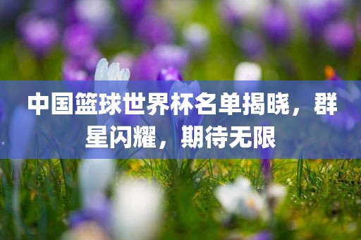 中国篮球世界杯名单揭晓，群星闪耀，期待无限